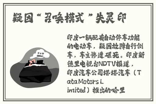 英语老师的兔子好大好好吃免费